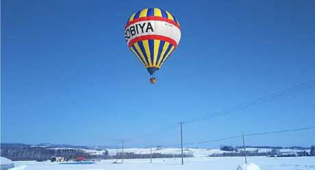 Hot air balloon free flight